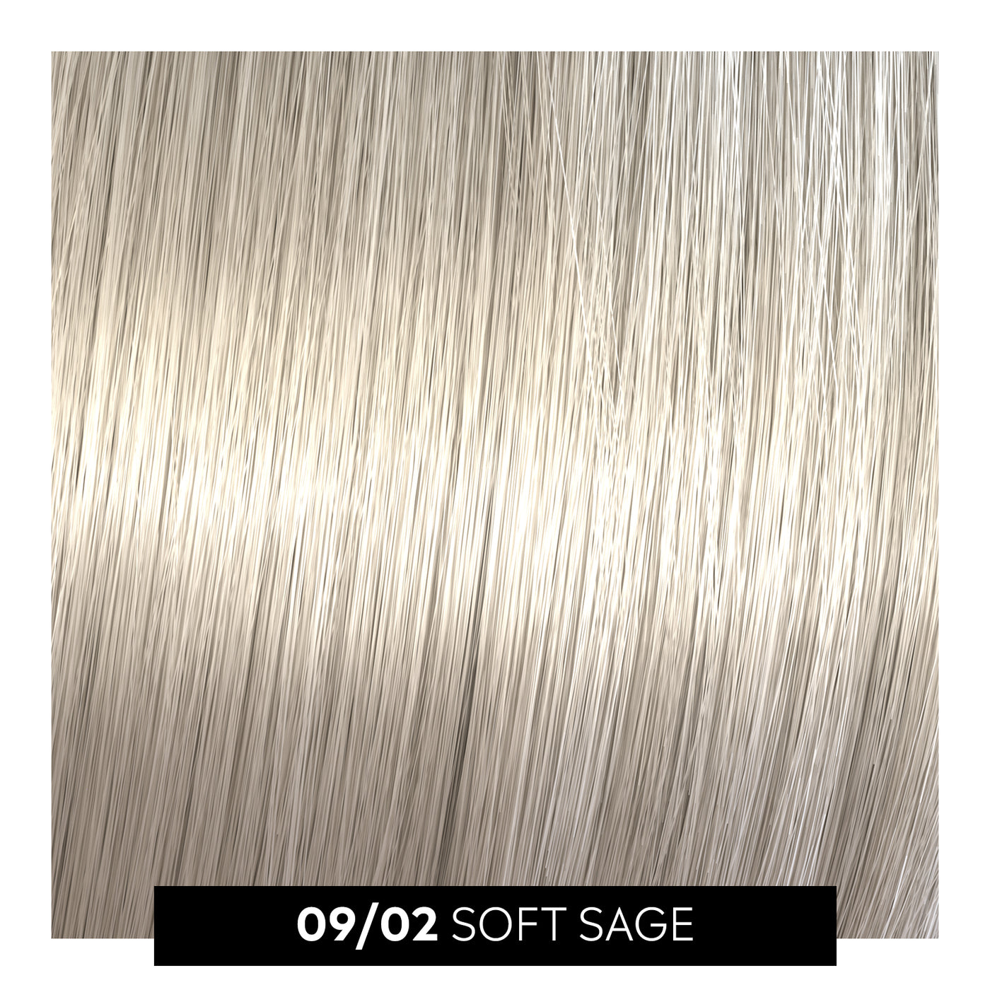 09/02 soft sage