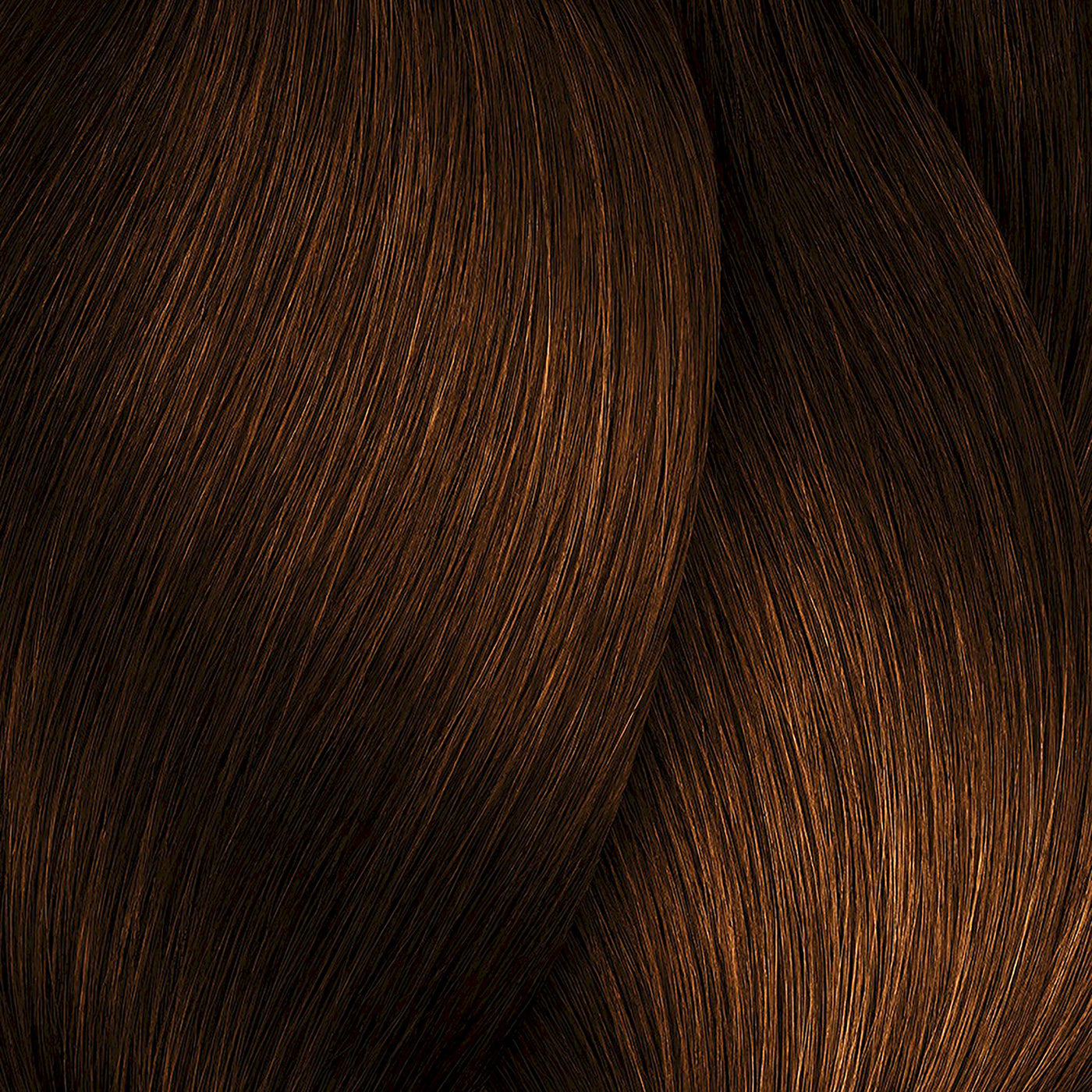 L'Oreal Professionnel iNOA Ammonia Free Permanent Hair Colour 60g