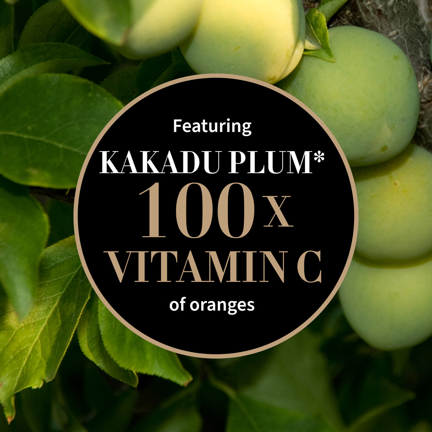 Antipodes Mini Glow Ritual Vitamin C Serum With Plant Hyaluronic Acid (10ml) vitamin c kakadu plum
